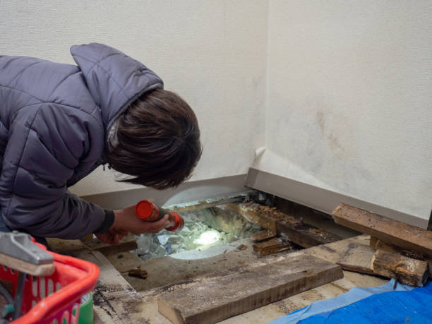 Dehumidification Services in Atoka, NM