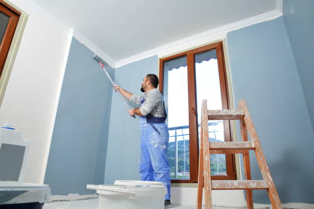 Best Basement Mold Removal  in Atoka, NM