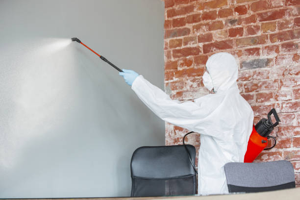 Best Mold Remediation for Healthcare Facilities  in Atoka, NM