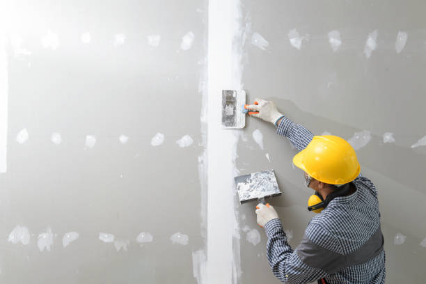 Atoka, NM Mold Removal Company