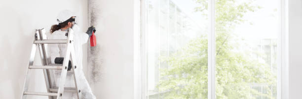 Best Emergency Mold Remediation  in Atoka, NM