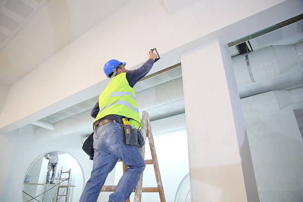 Best Industrial Mold Remediation  in Atoka, NM