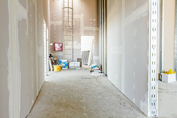 Best Mold Remediation for Healthcare Facilities  in Atoka, NM
