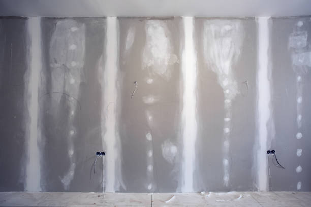 Best Asbestos and Lead Testing During Mold Inspection  in Atoka, NM